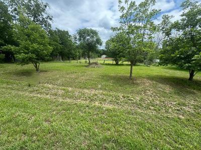 Expansive grassy terrain featuring scattered matu