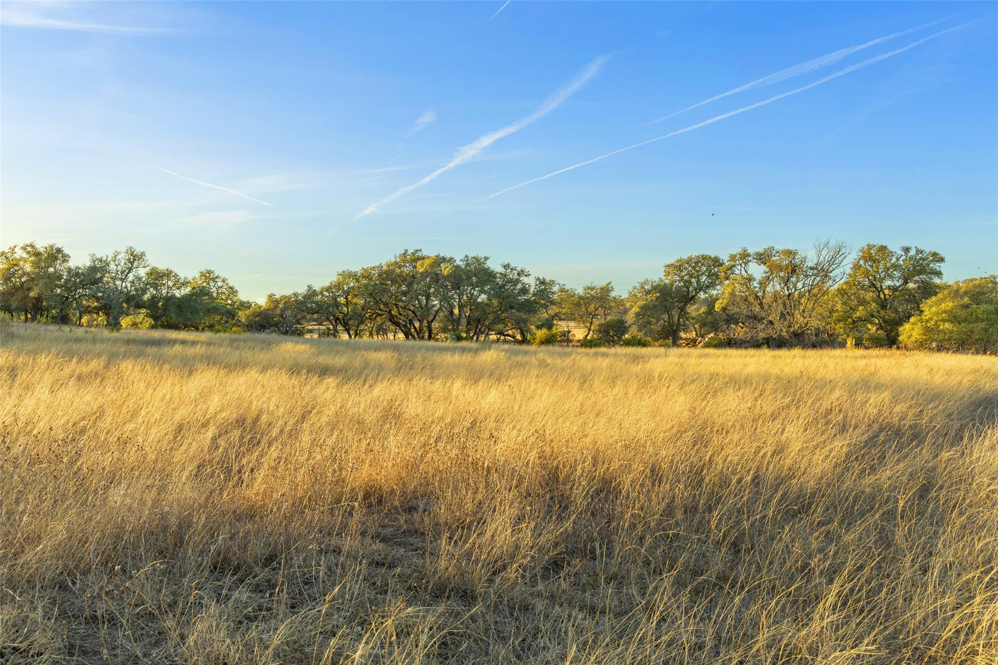 Expansive open field featuring golden grasses and