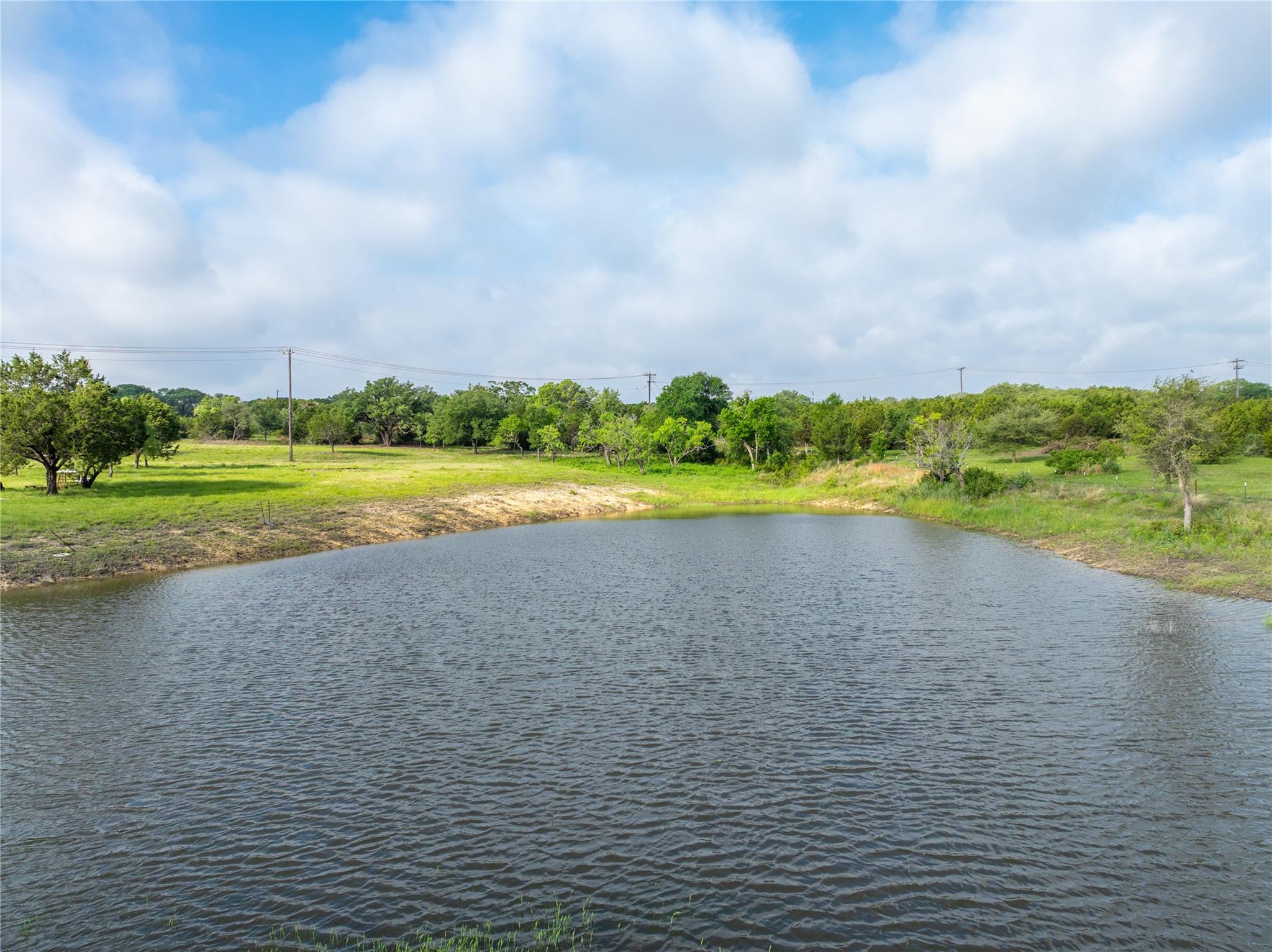 Expansive natural pond surrounded by green vegeta