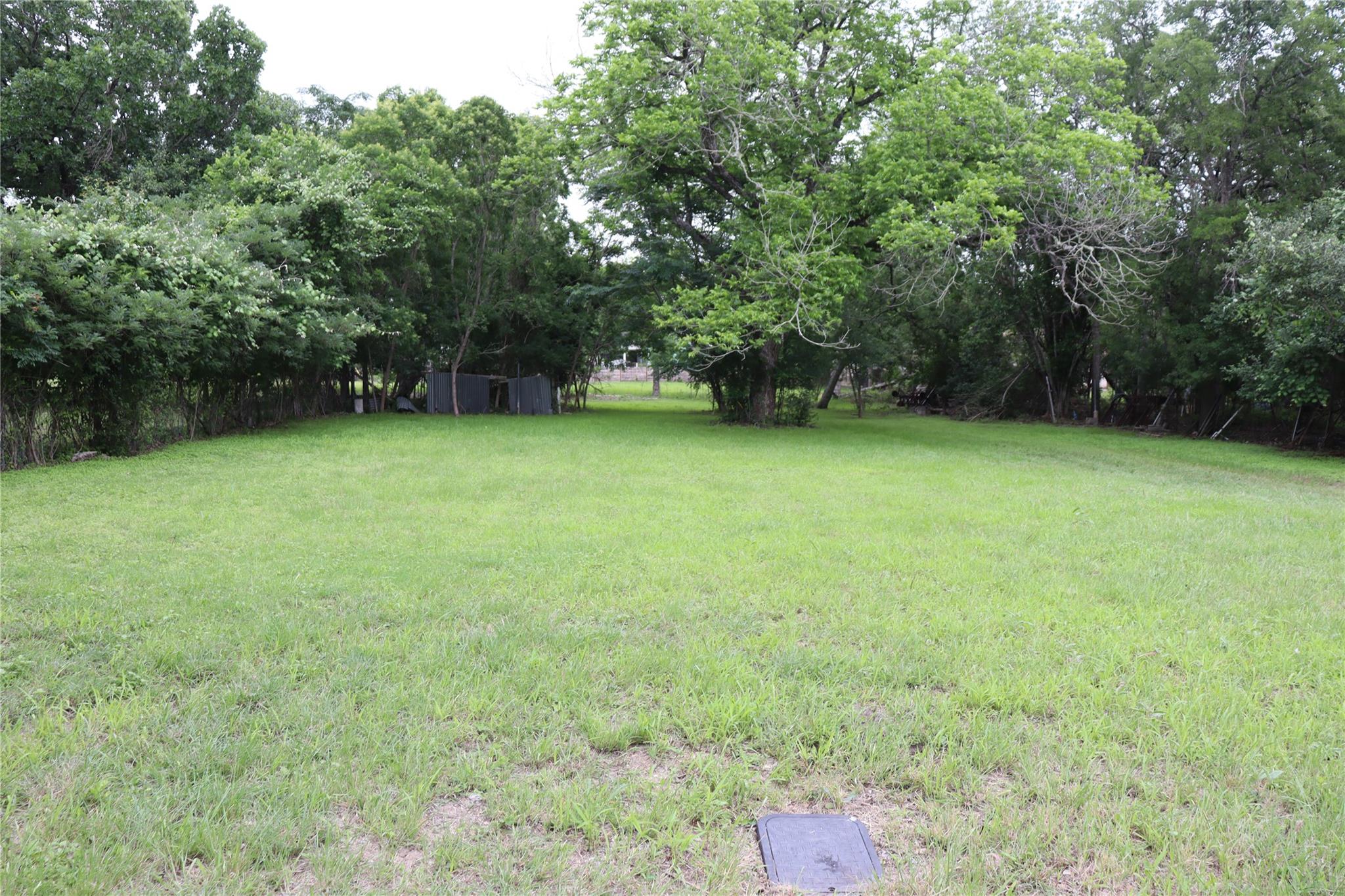 Expansive grassy clearing surrounded by mature tr