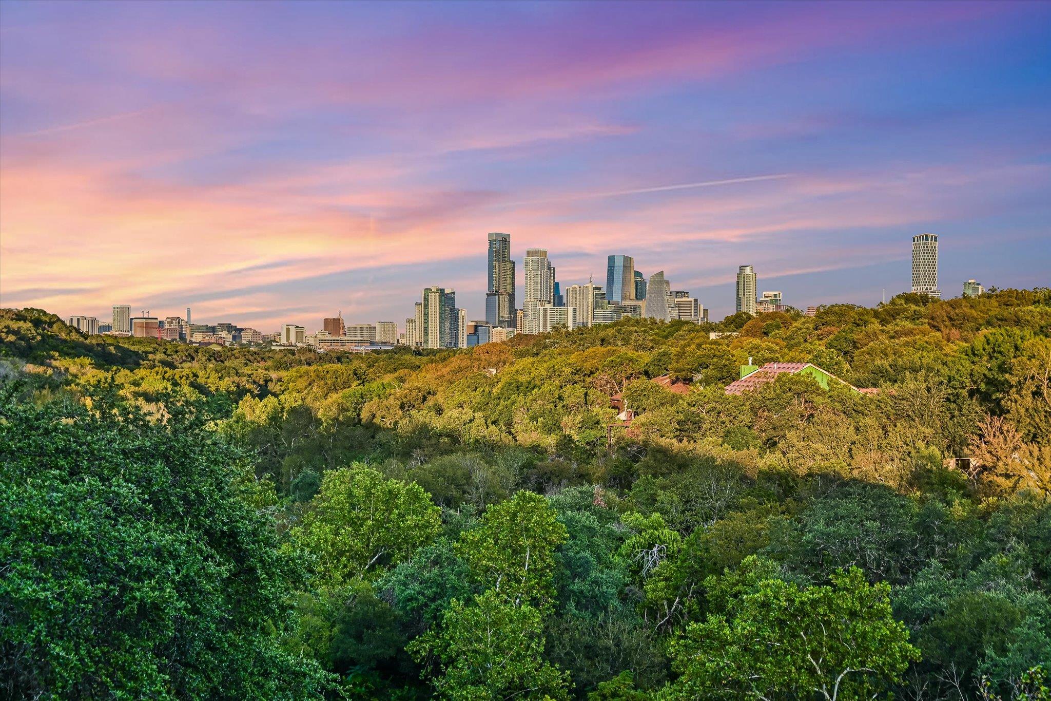 Lush green treetops frame a distant city skyline 