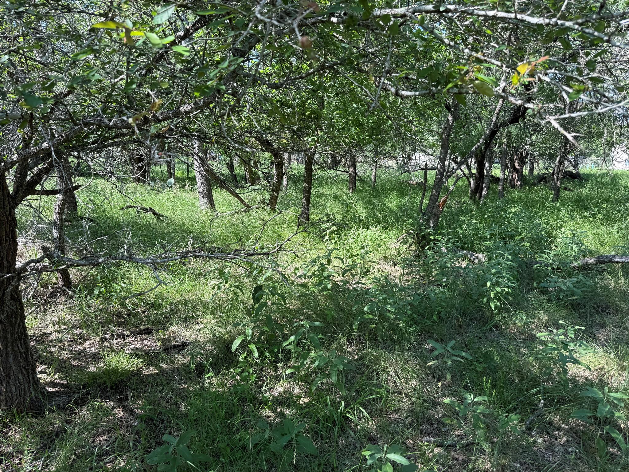 Listing photo 1 of 236  Mokulua Ln