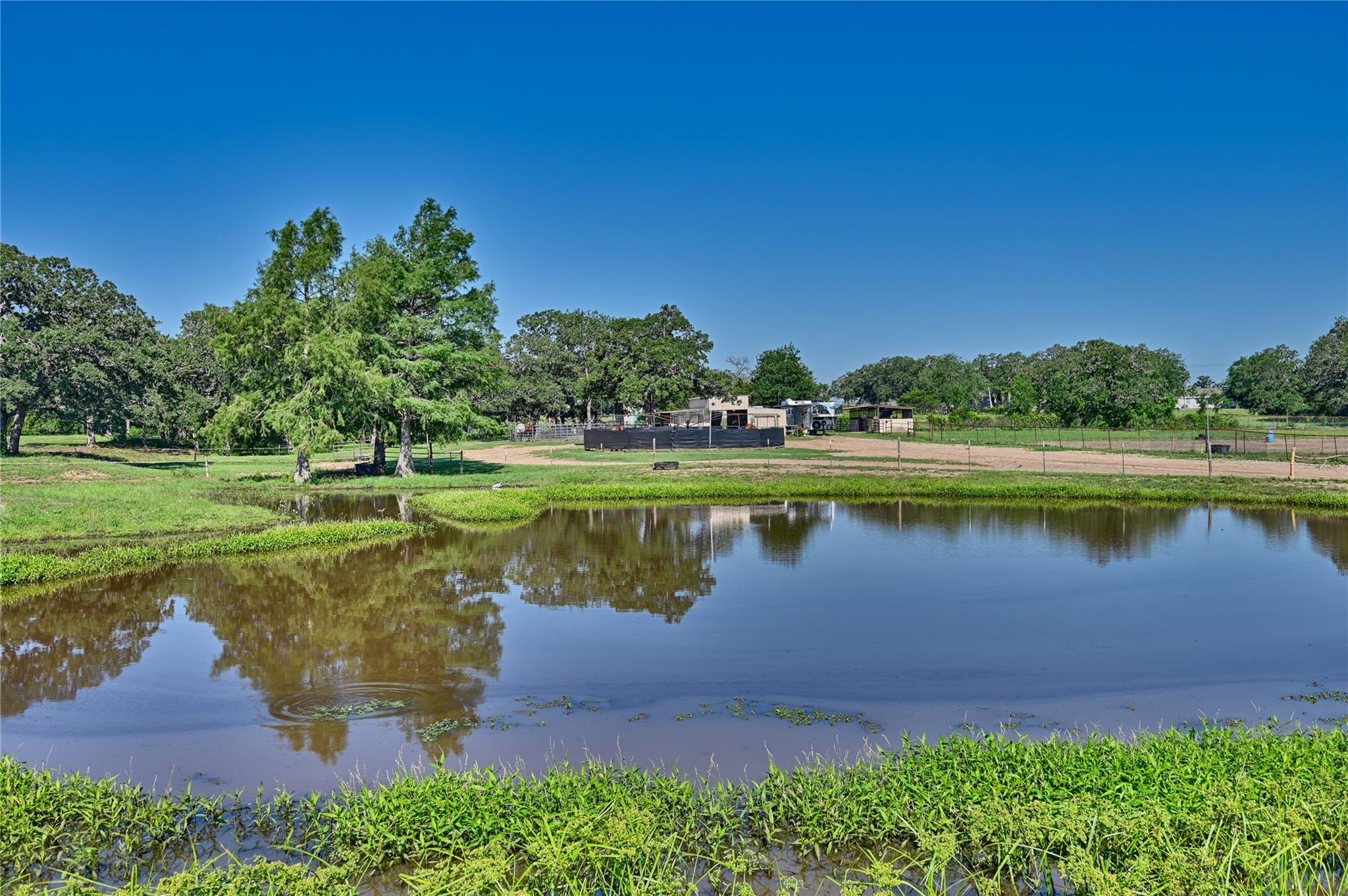 Natural pond feature surrounded by lush green lan