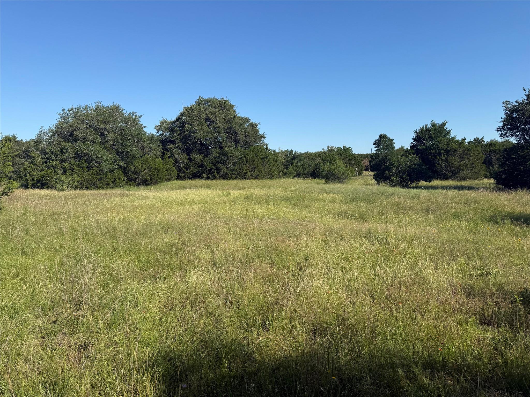 Expansive open field with natural grass and varie
