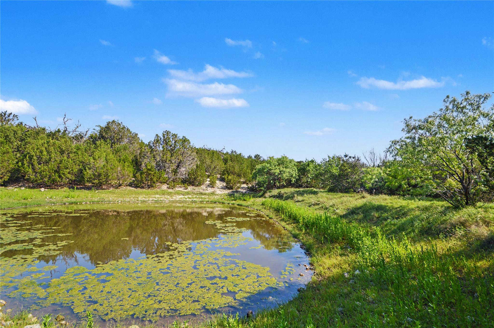Listing photo 1 of 179 E County Road 318 Rd