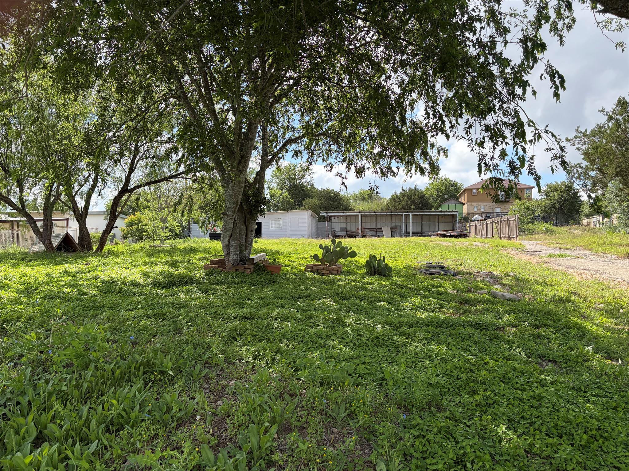Expansive green space featuring established trees