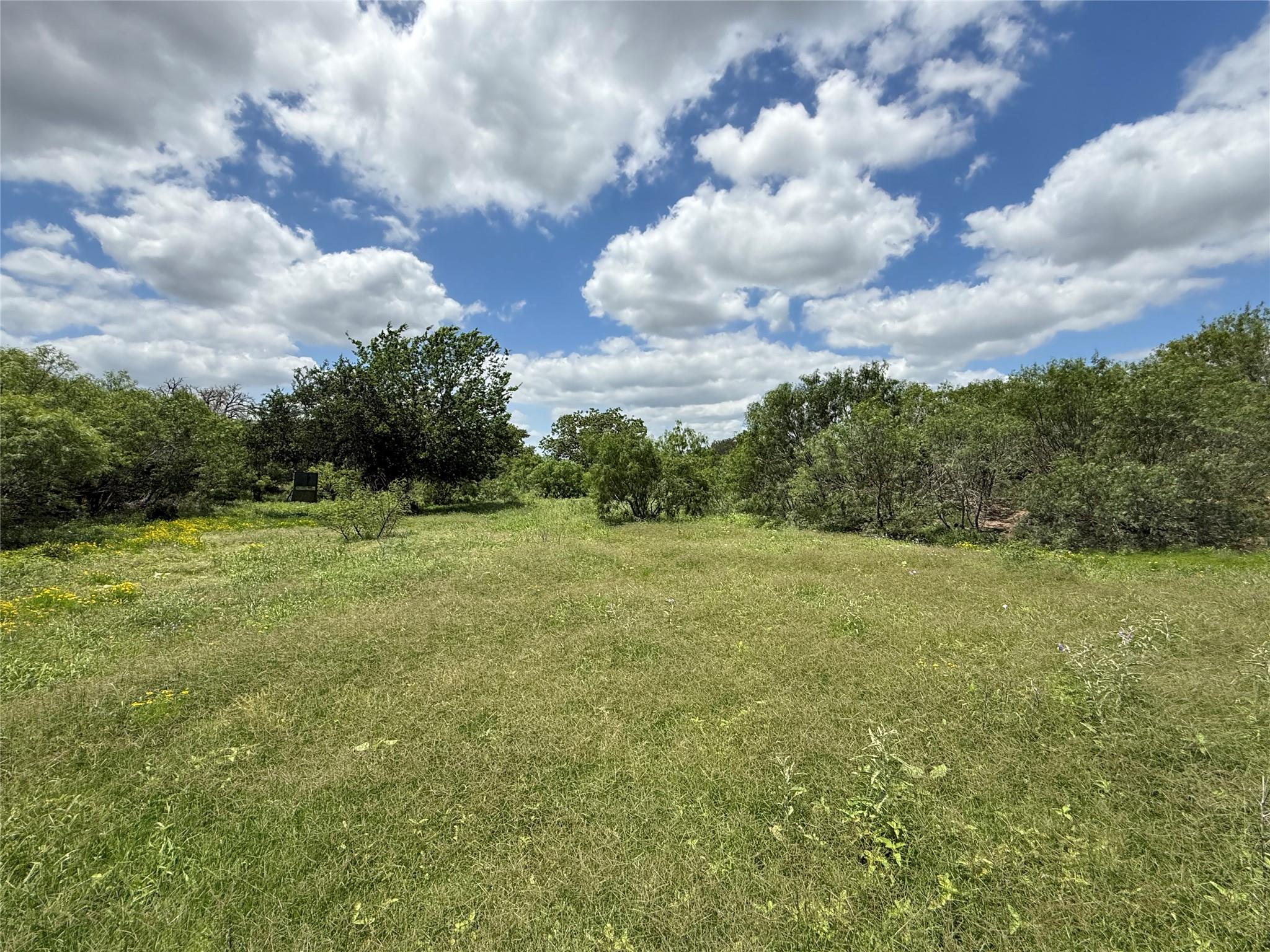 Expansive open field featuring natural grasses, s