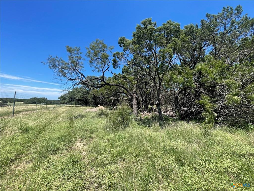 Expansive open field featuring tall green grasses