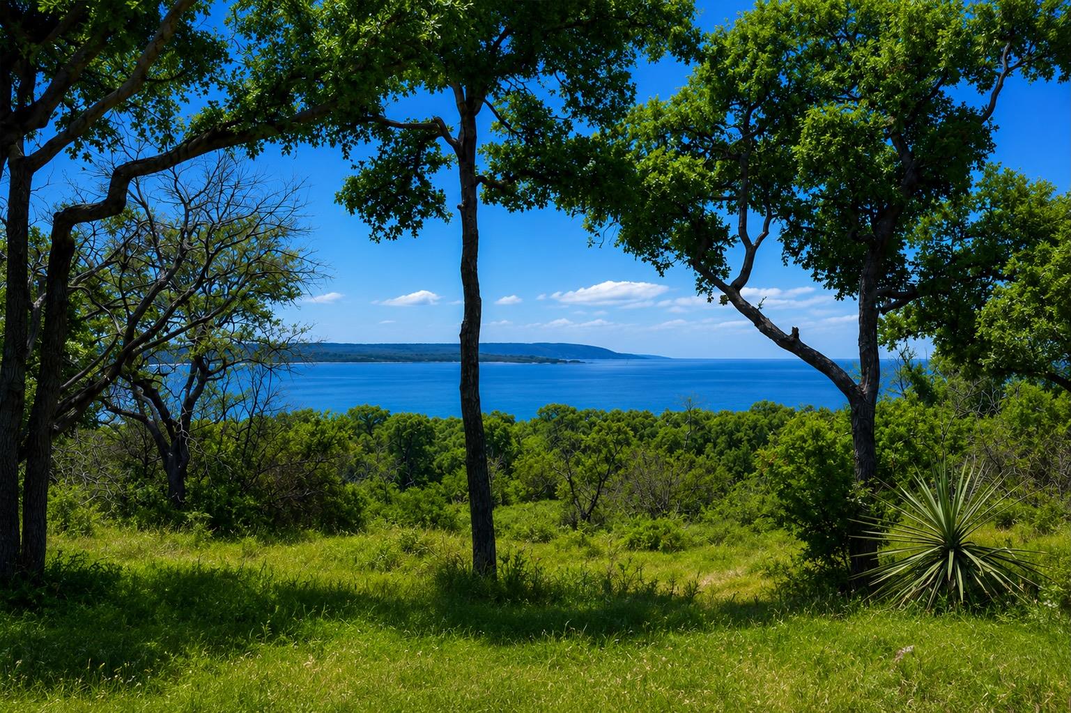 A tranquil panorama of verdant hills meeting the 