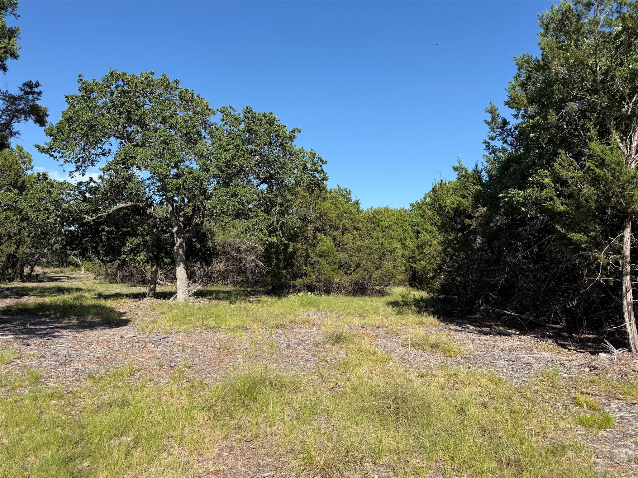 Wooded lot featuring mature trees and natural gro