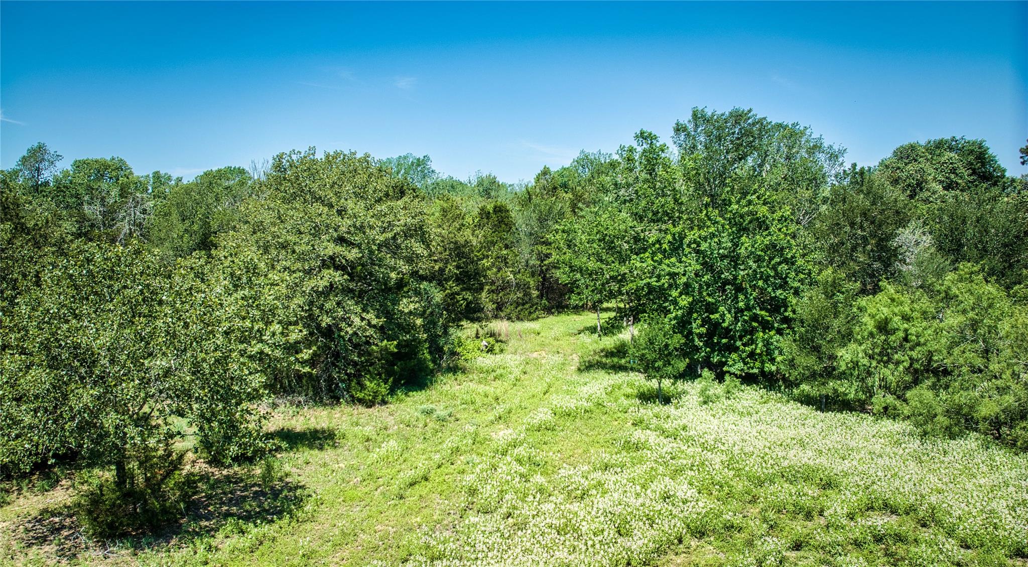 Expansive natural landscape featuring lush greene