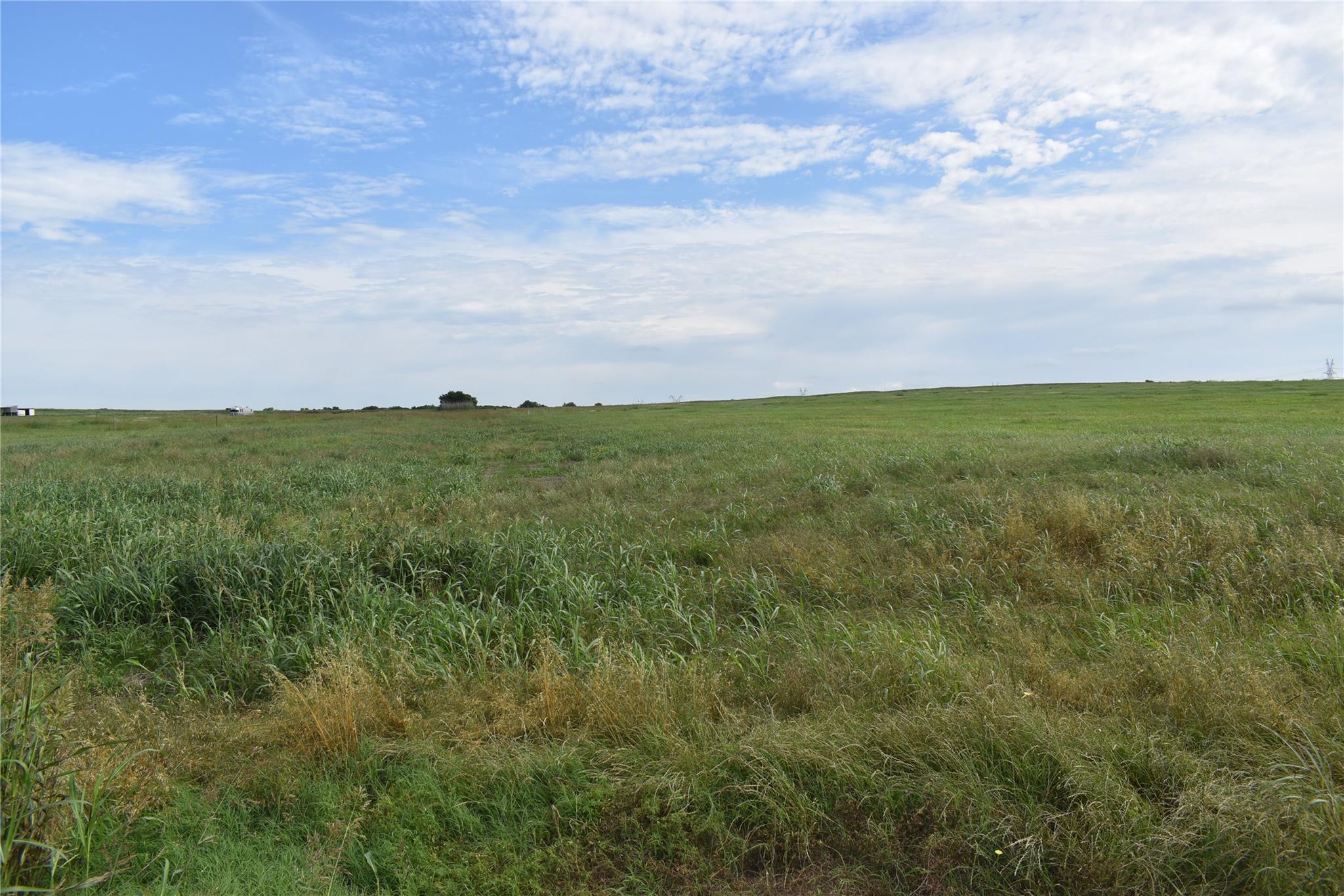 Expansive open field featuring natural grasses an