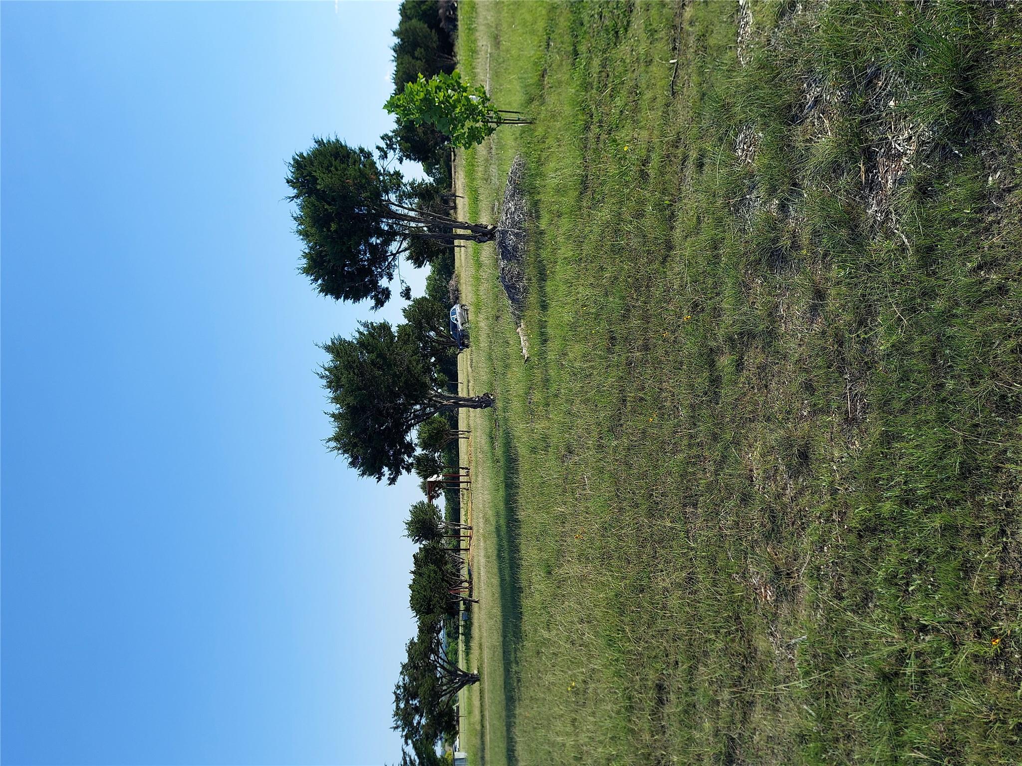 Expansive open lot featuring scattered mature tre