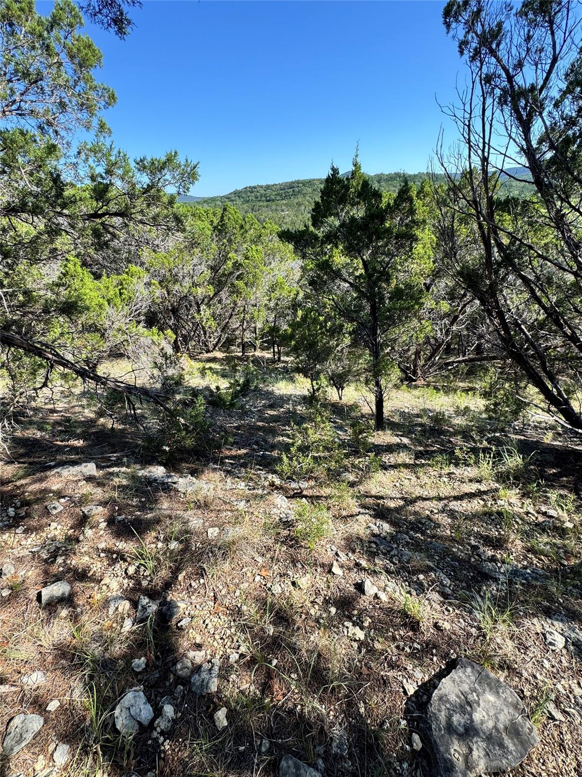 Listing photo 1 of 7921  Folklore Cir