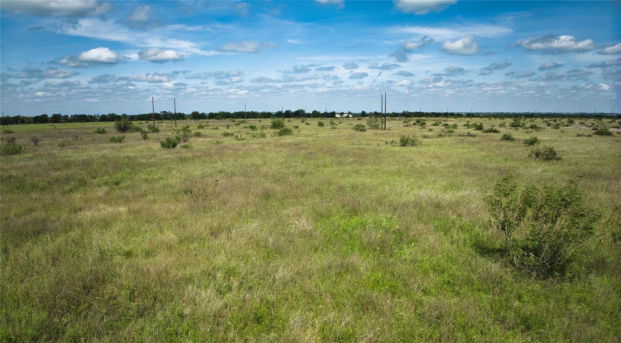 Expansive open land featuring diverse natural gra