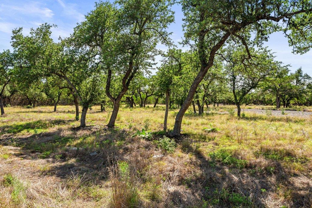 Mature trees dot this sprawling lot, offering nat