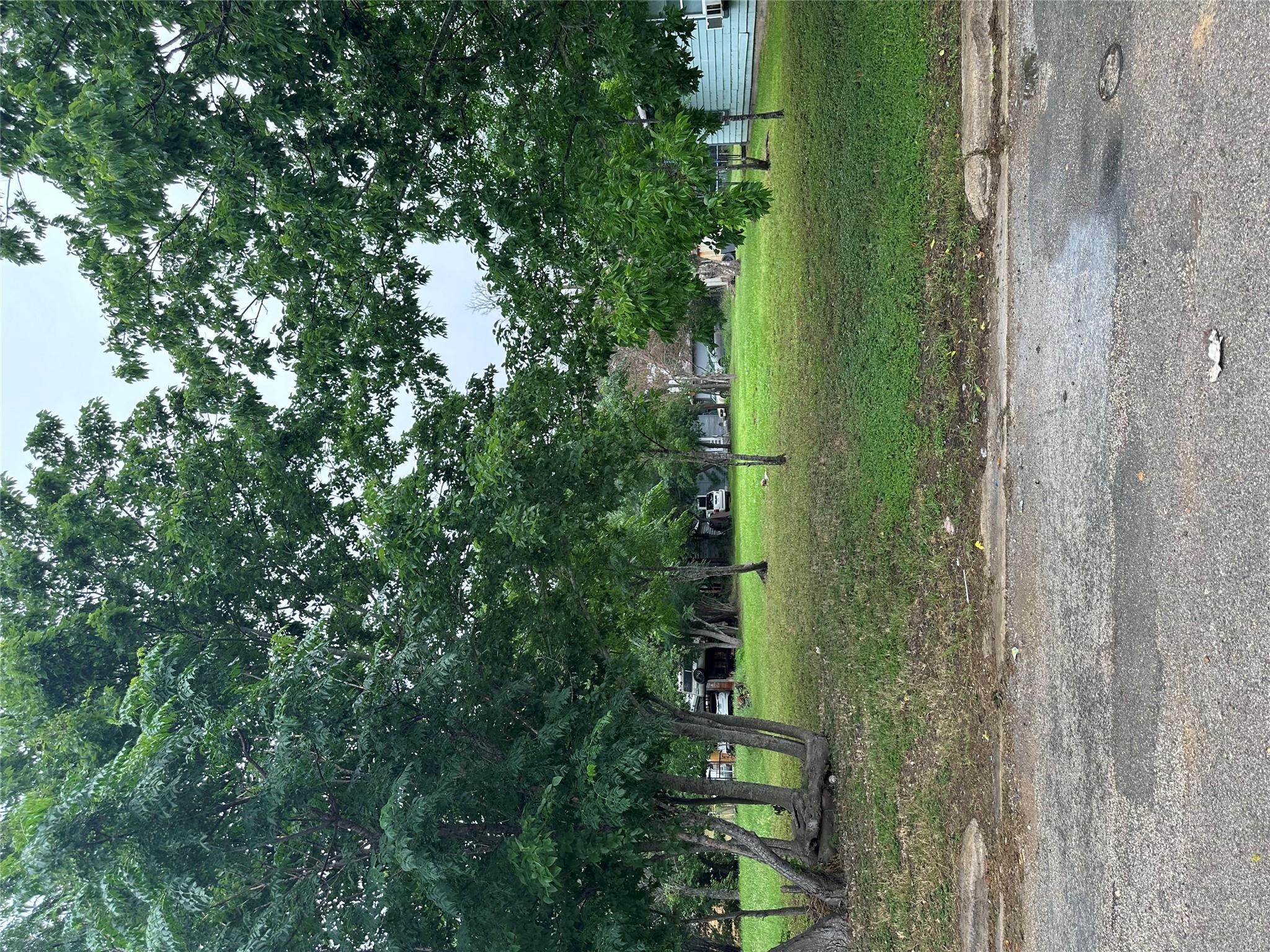 Expansive green space featuring mature trees and 