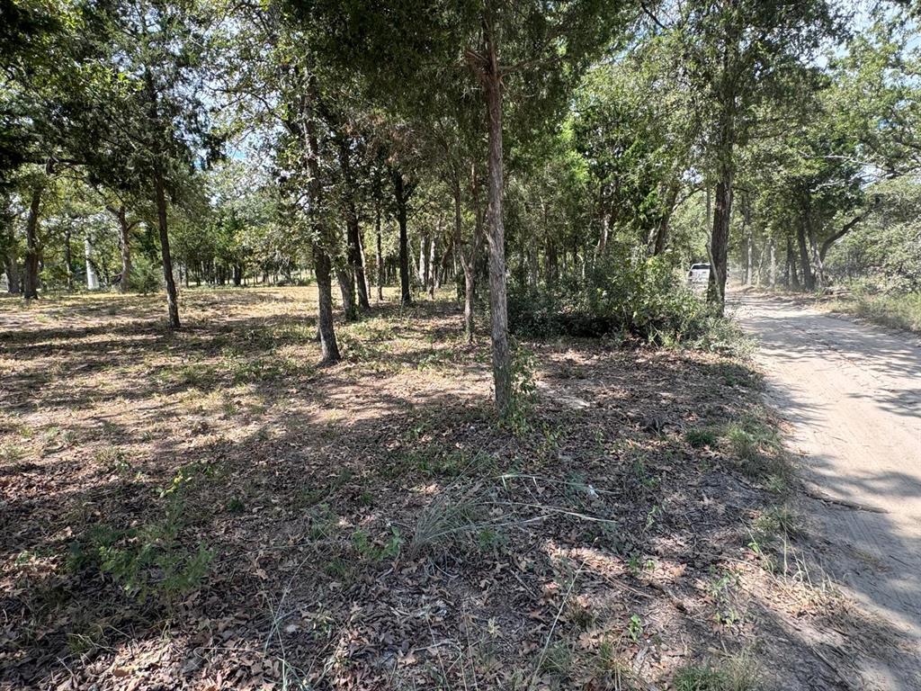 Wooded lot featuring mature trees and a natural g