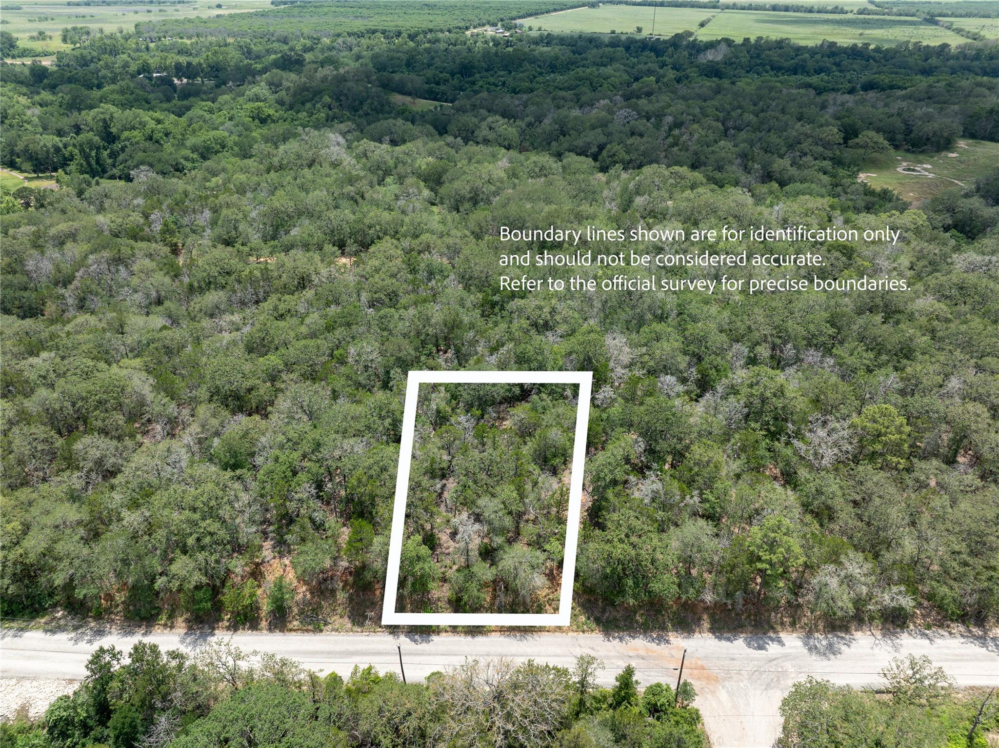 A verdant, undeveloped lot awaits your vision, ne