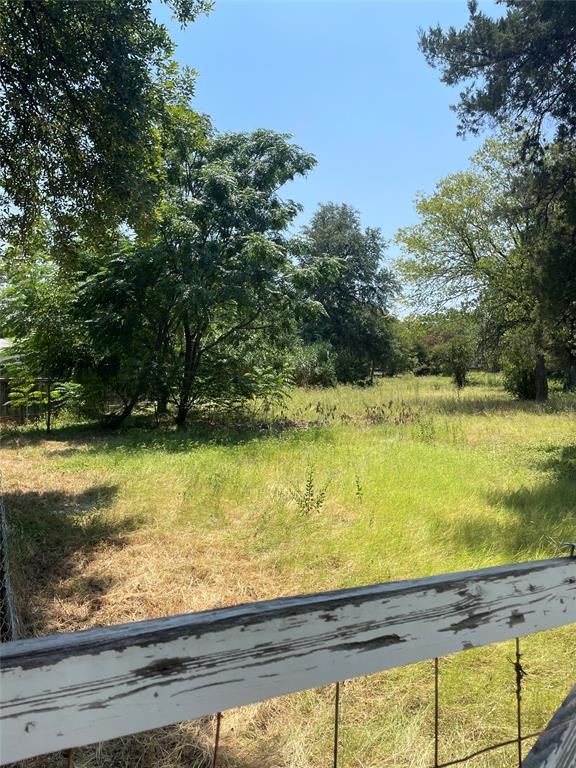 Expansive undeveloped land featuring mature trees