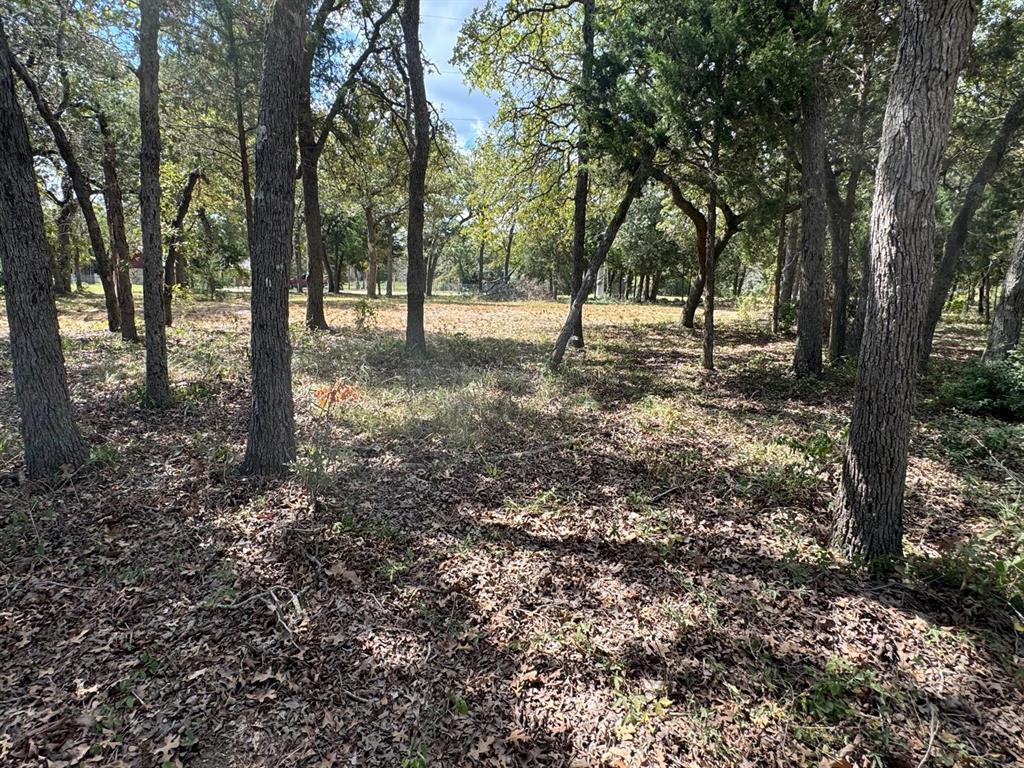Wooded lot featuring mature trees and dappled sun