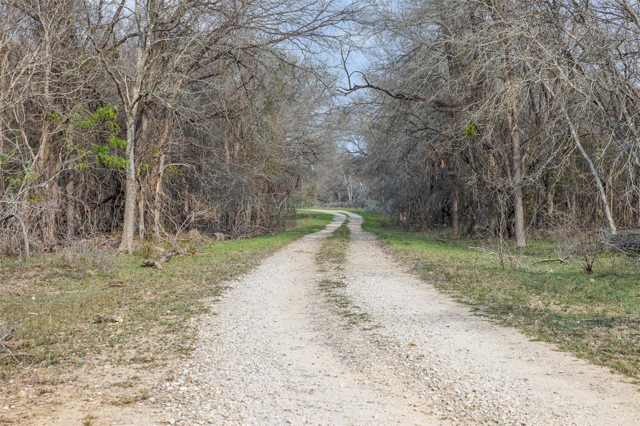 View of road