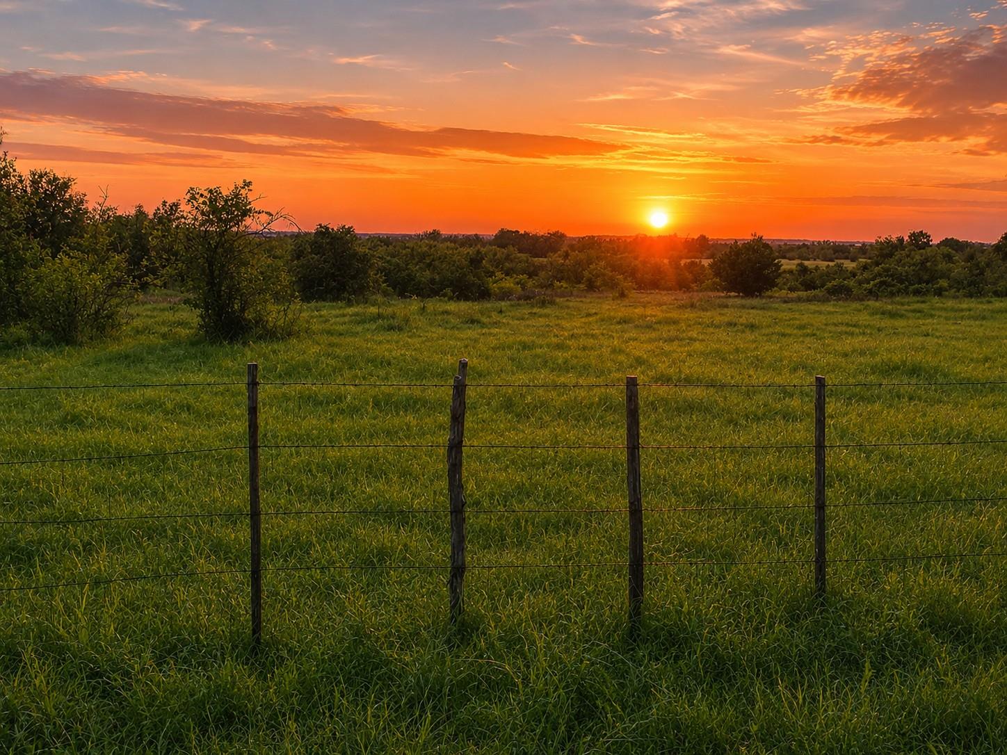 Expansive green field with mature trees under a v