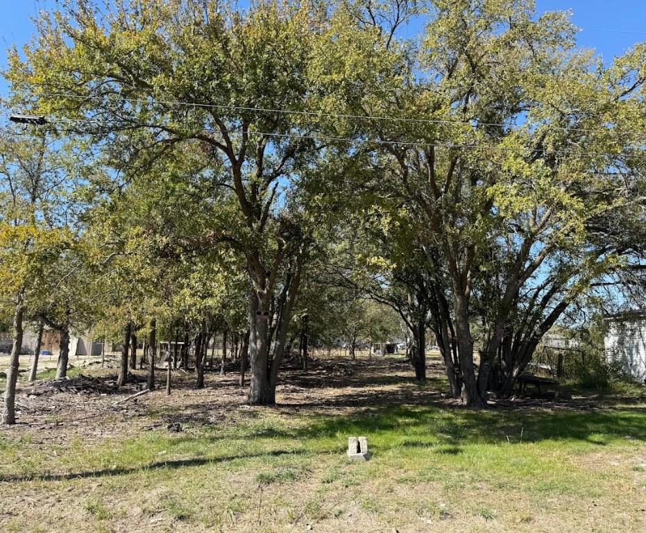 Expansive wooded property featuring mature trees 