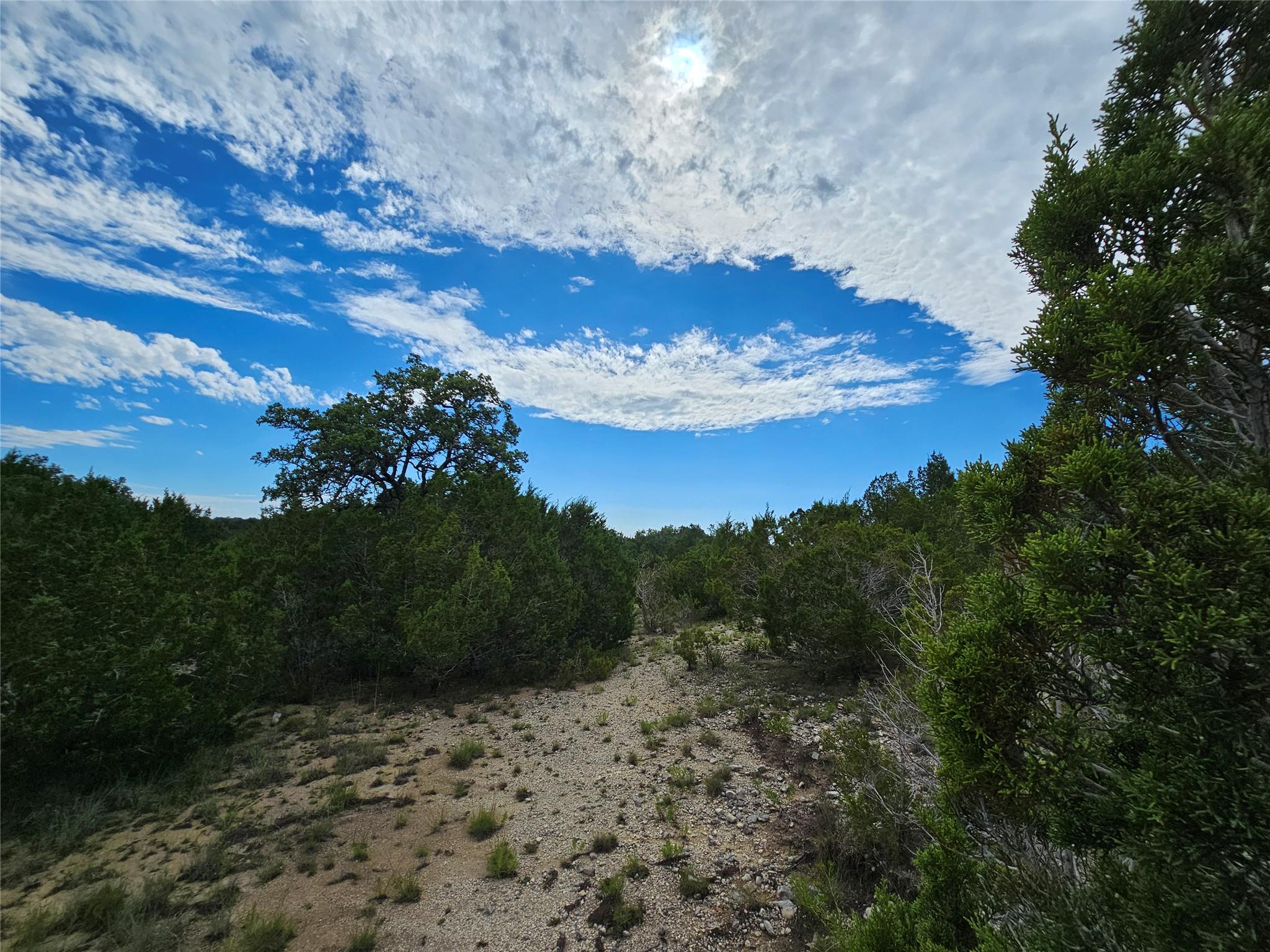 Expansive natural terrain featuring a mix of ever