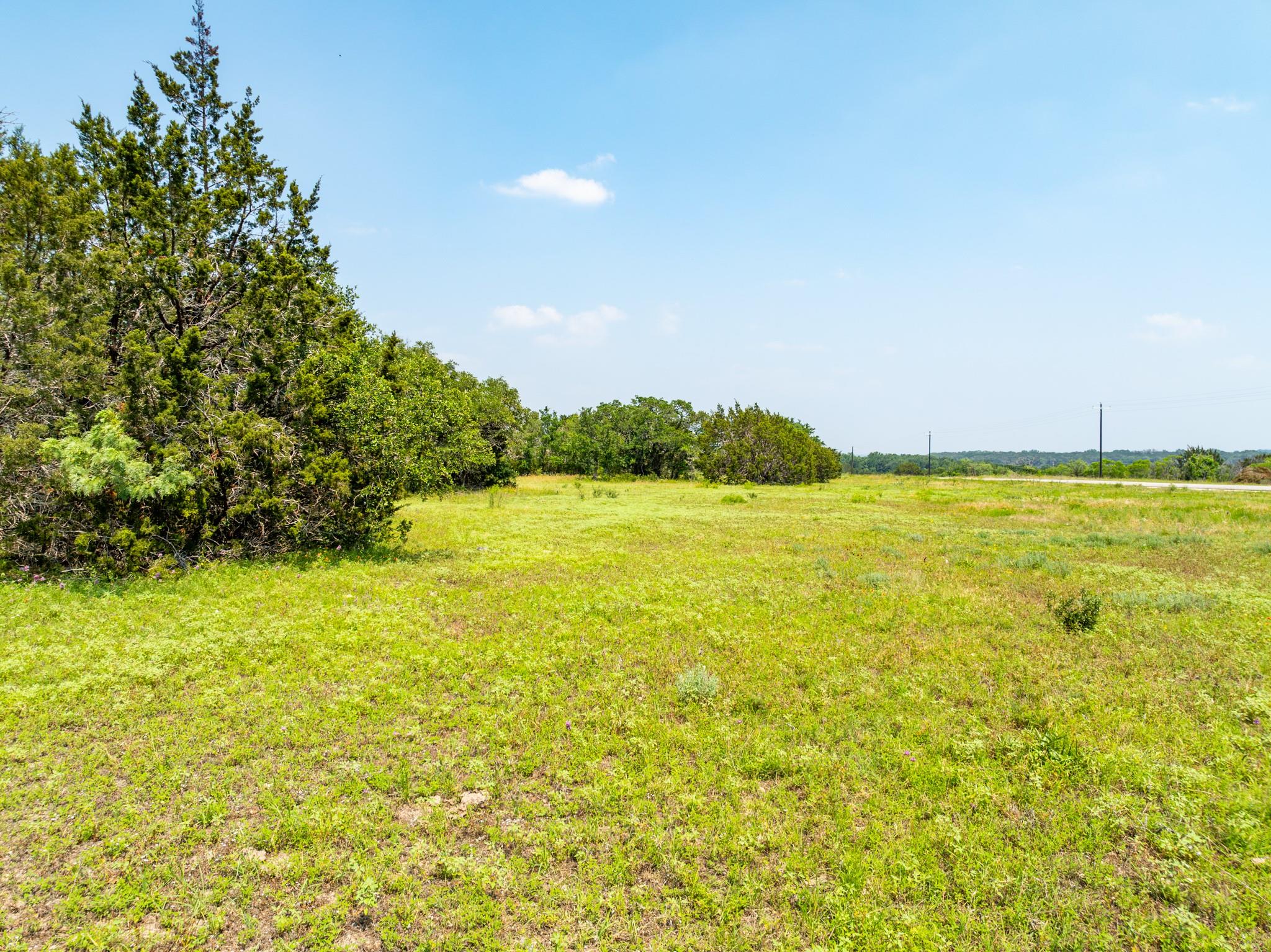 Green pastures and verdant foliage define this ex