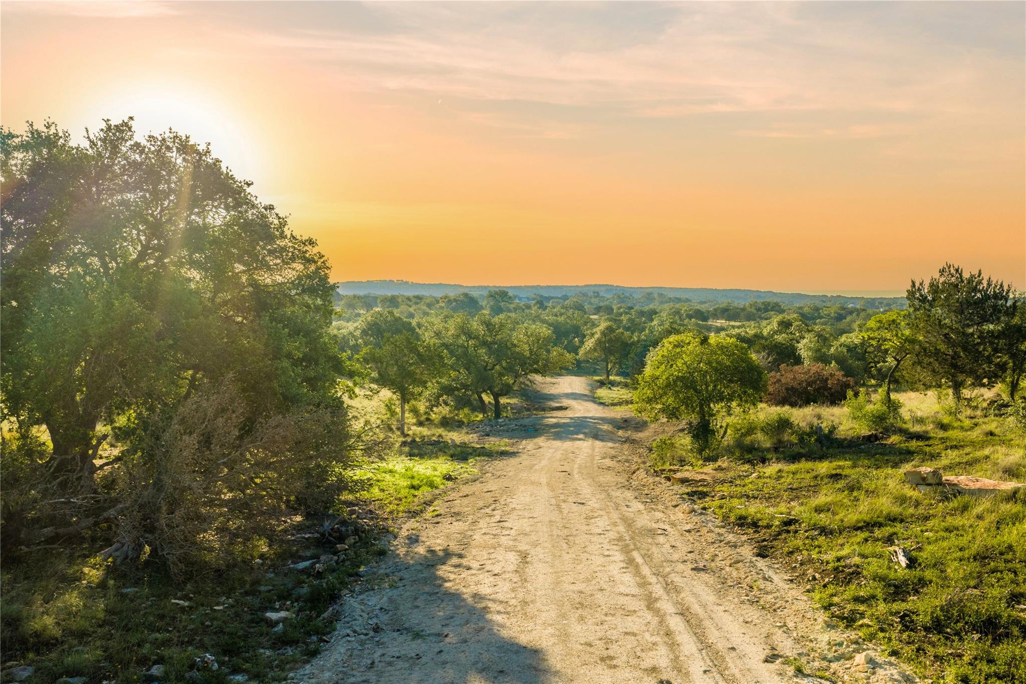 A private road winds through a lush landscape, of