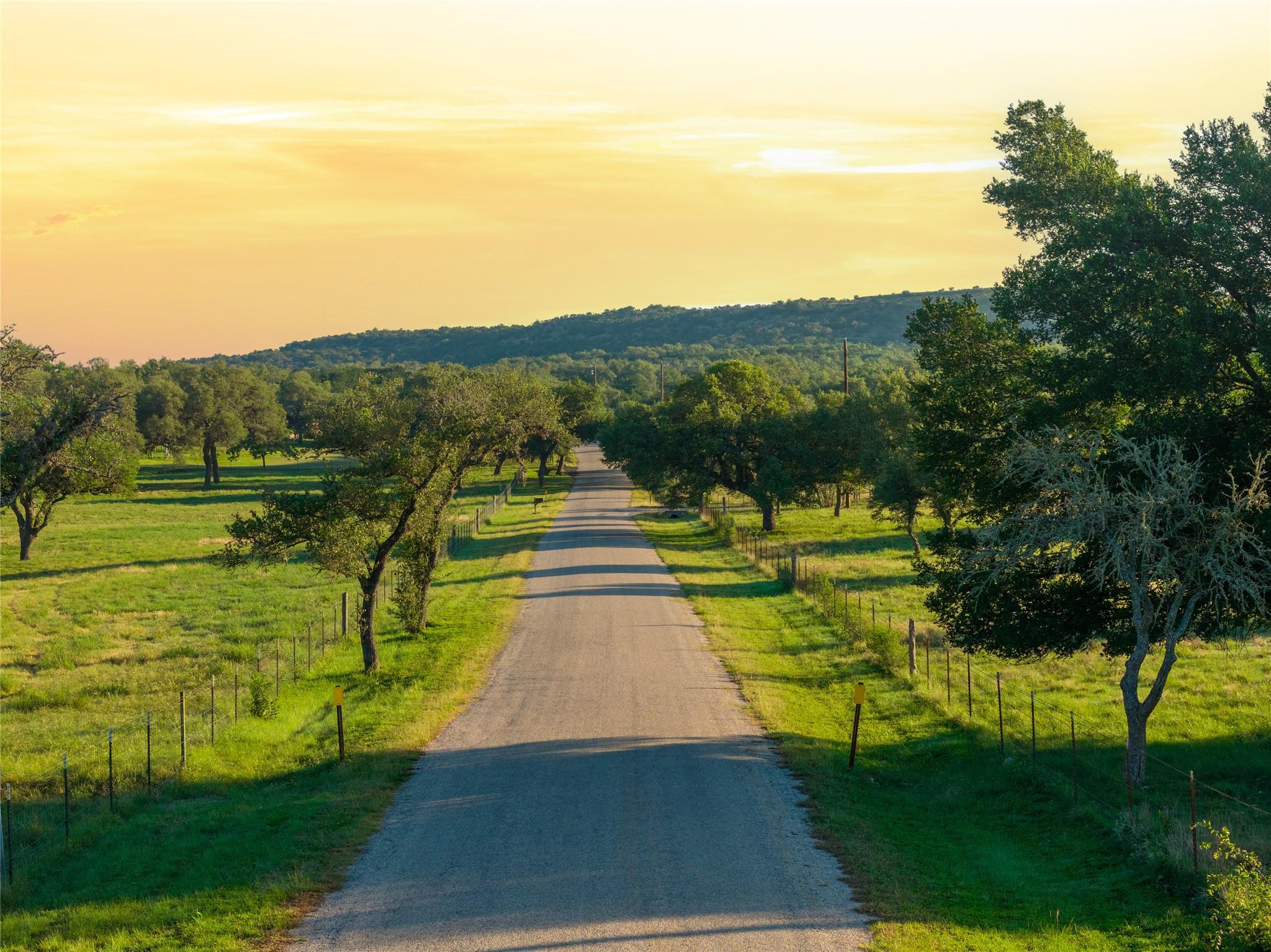 A private road winds through verdant fields under
