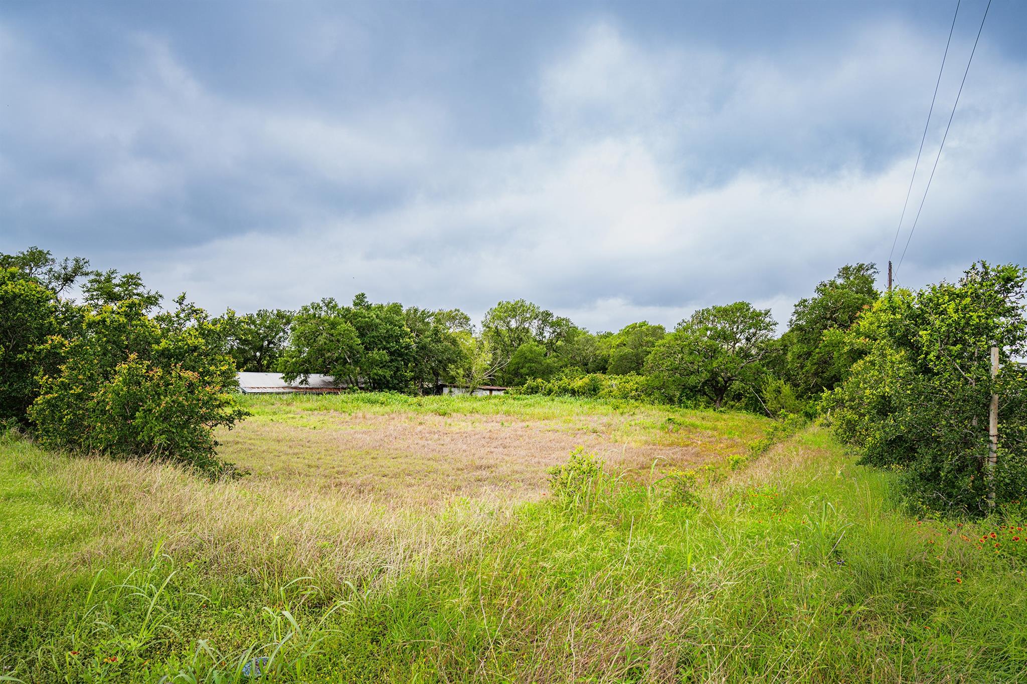 Green pastures and mature trees stretch beneath a