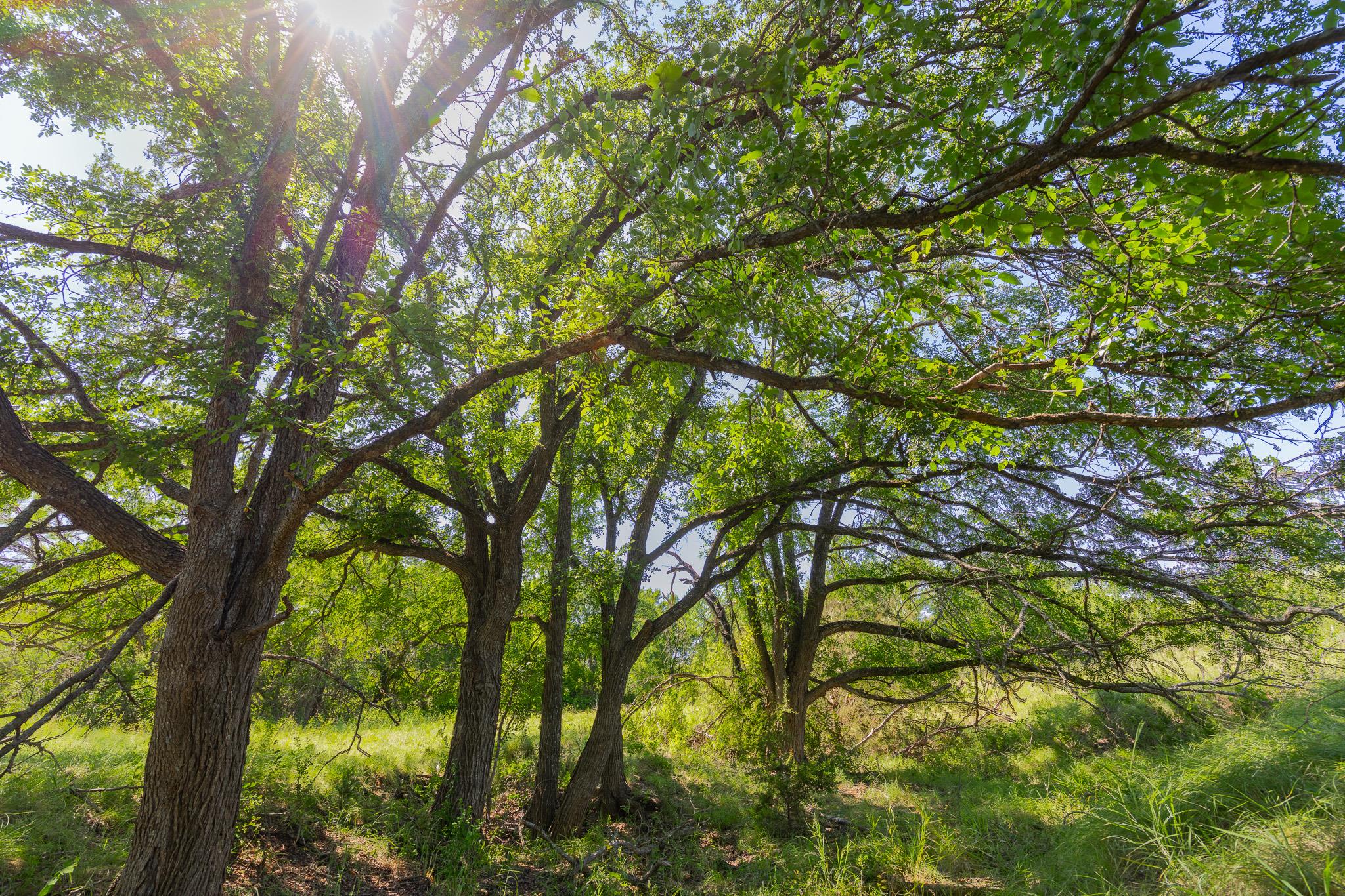 Listing photo 1 of TBD  County Road 180 Covered Meadows Ranch Rd