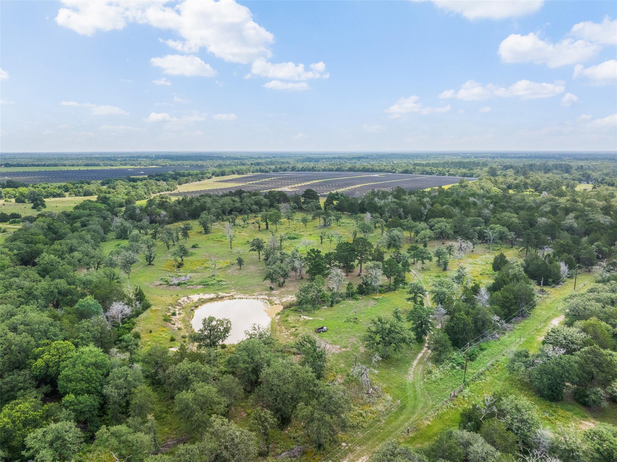 A tranquil pond nestles amidst a verdant landscap