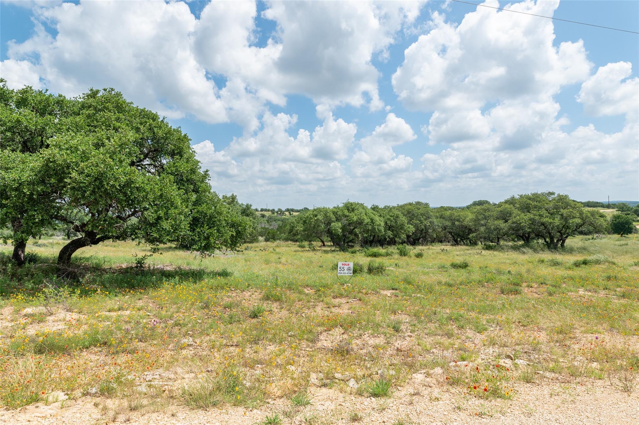 Cultivate your dreams on this expansive, tree-dot