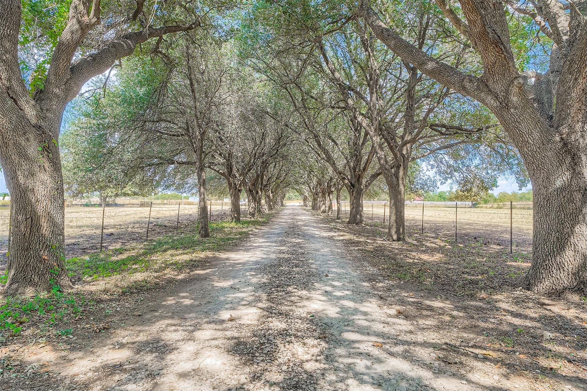 Listing photo 1 of 10026  Fm 1660 None