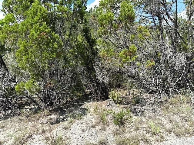 Mature trees and natural foliage create a private