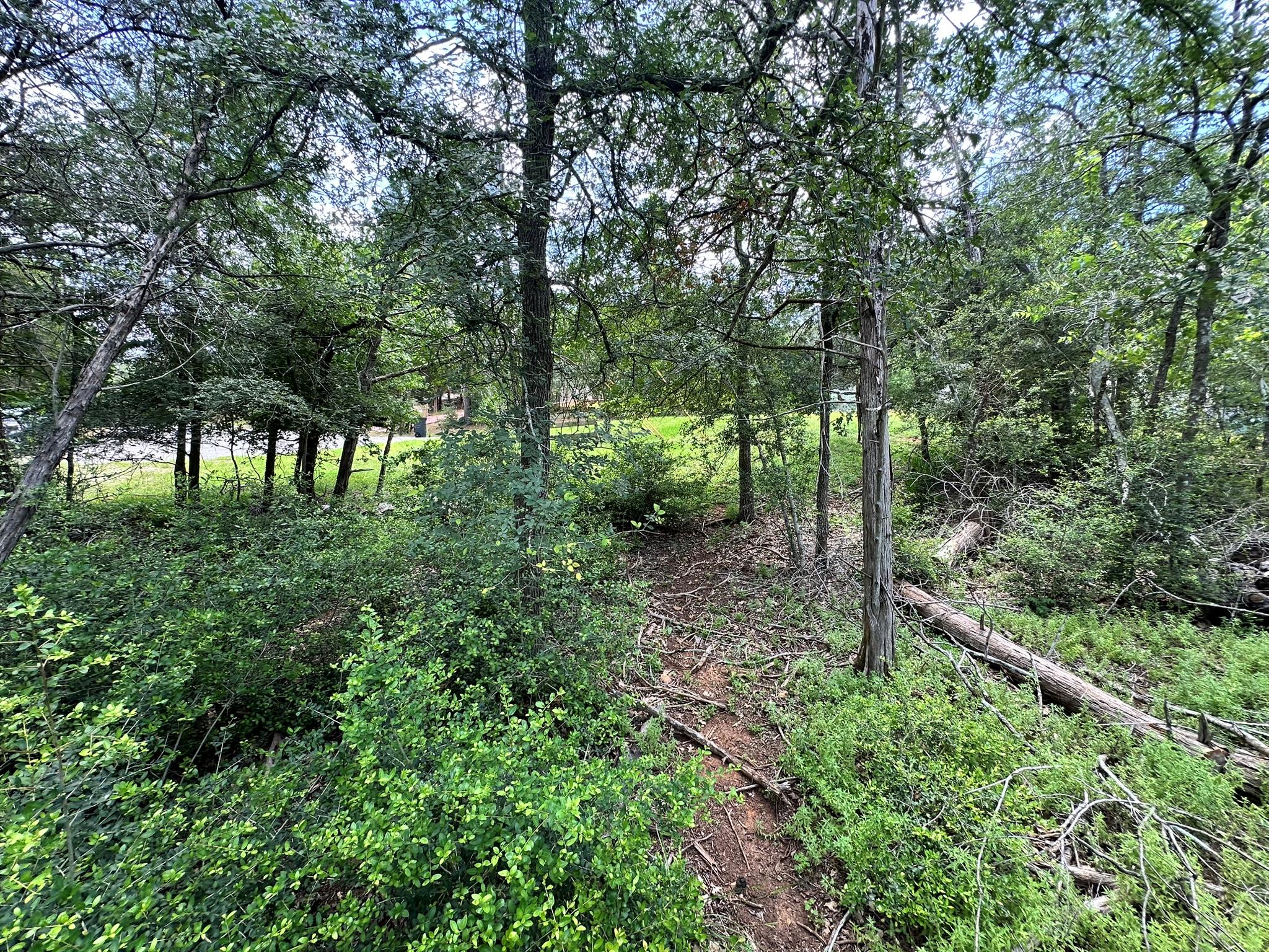 A verdant, wooded lot offers abundant natural bea