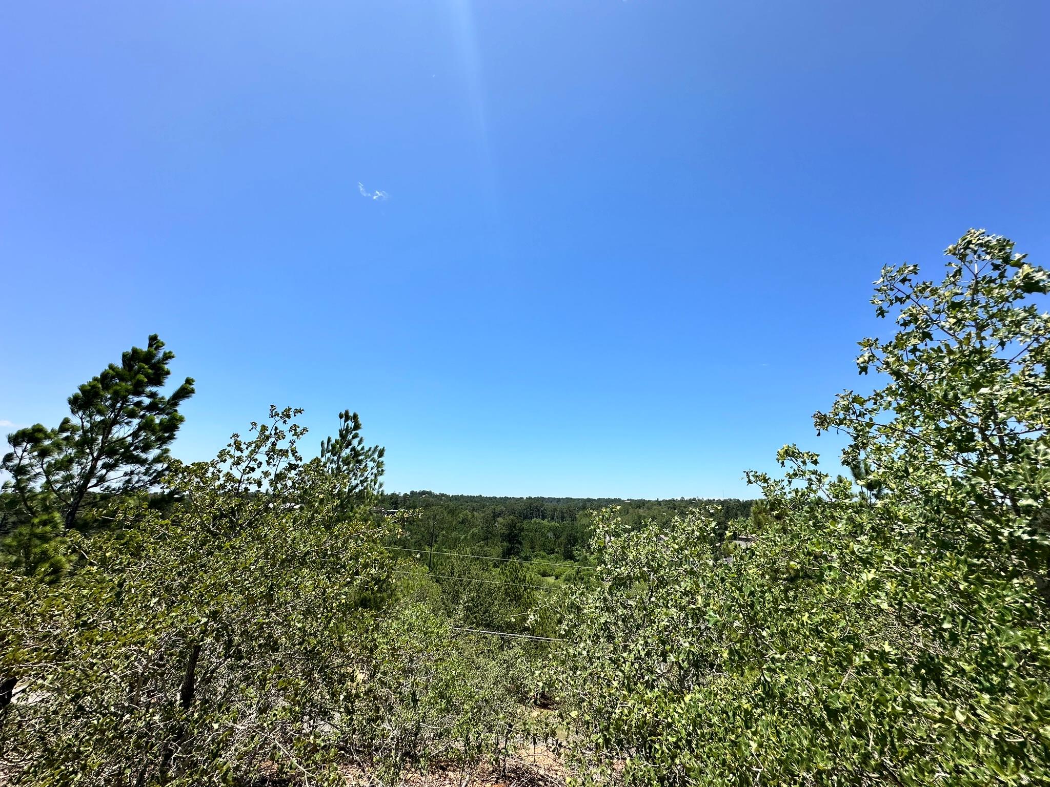 Panoramic forest views extend under an open sky, 