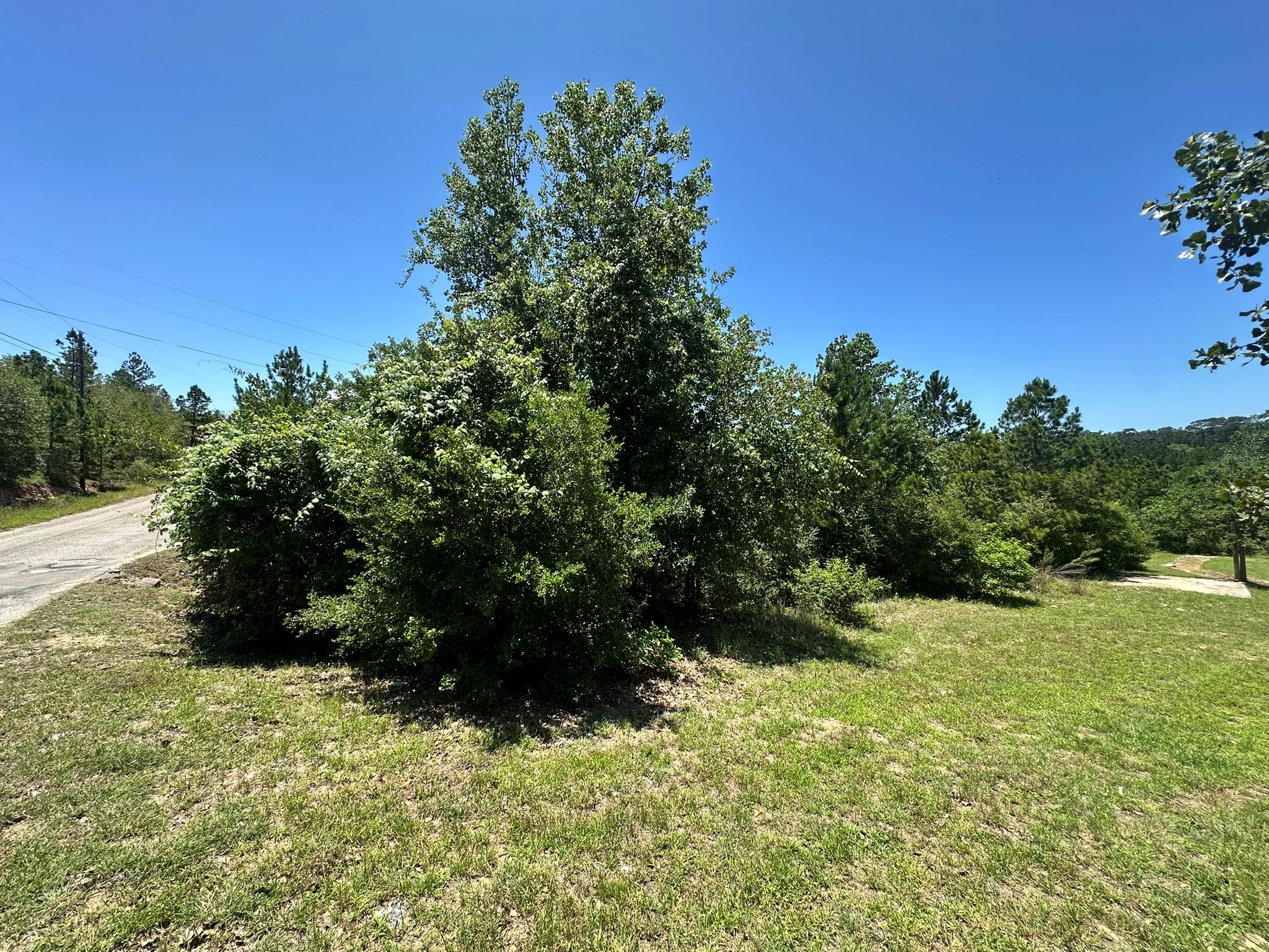 Mature trees and verdant foliage frame a secluded