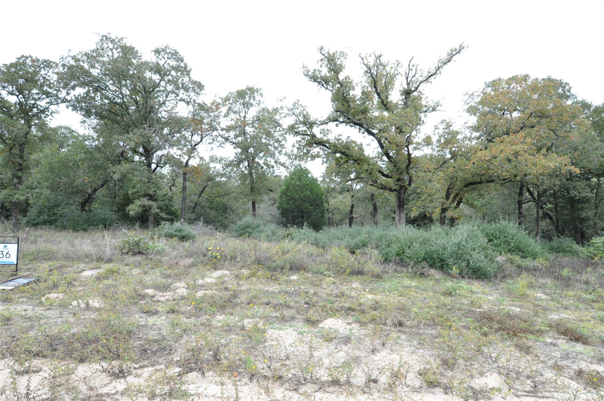 Mature trees and natural growth define this expan