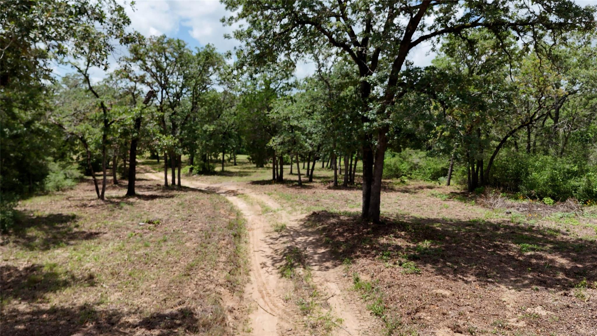 A tranquil, secluded lot awaits, surrounded by ma