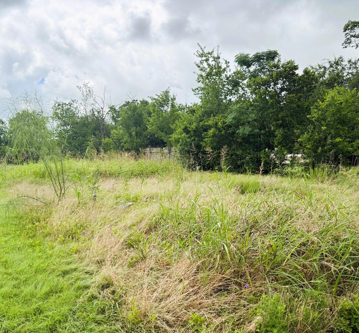 Vast green lot, perfect for building a custom hom