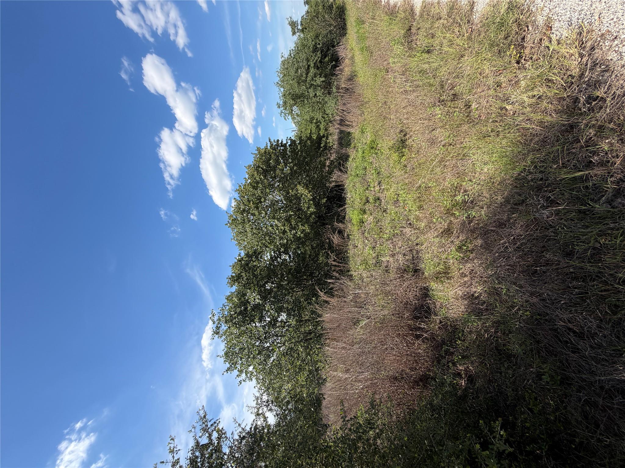 A verdant field with mature trees bordering the p