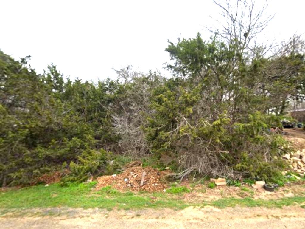 Mature trees and natural growth define this expan