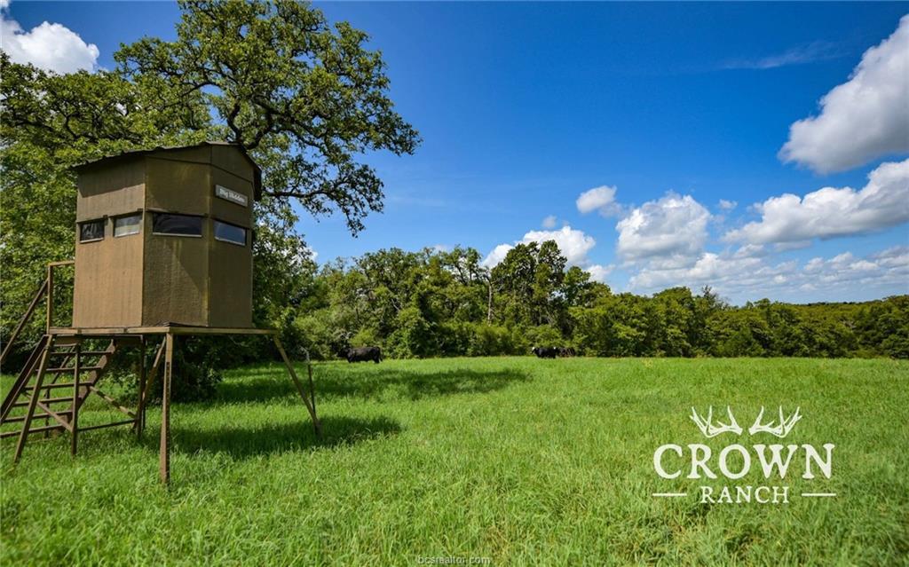 Green pastures and lush trees surround this excep