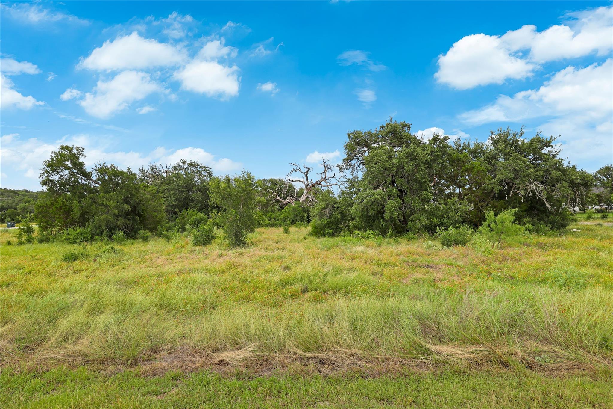 Mature trees frame a sun-drenched, verdant landsc