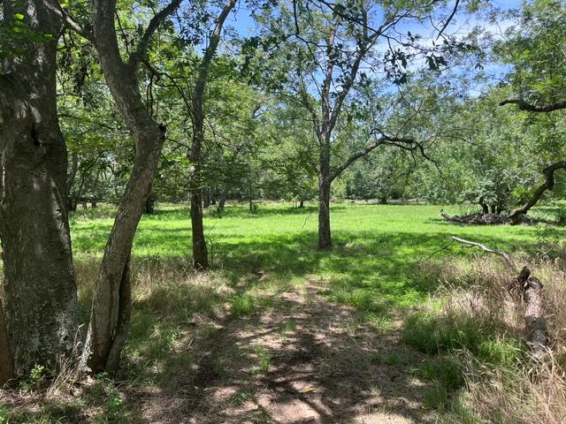 A tranquil, verdant landscape offering a serene e