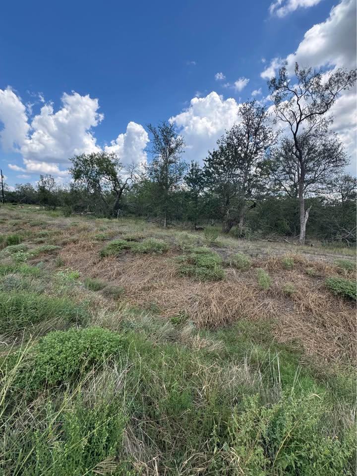 Listing photo 1 of 225  Brinley Mae Way
